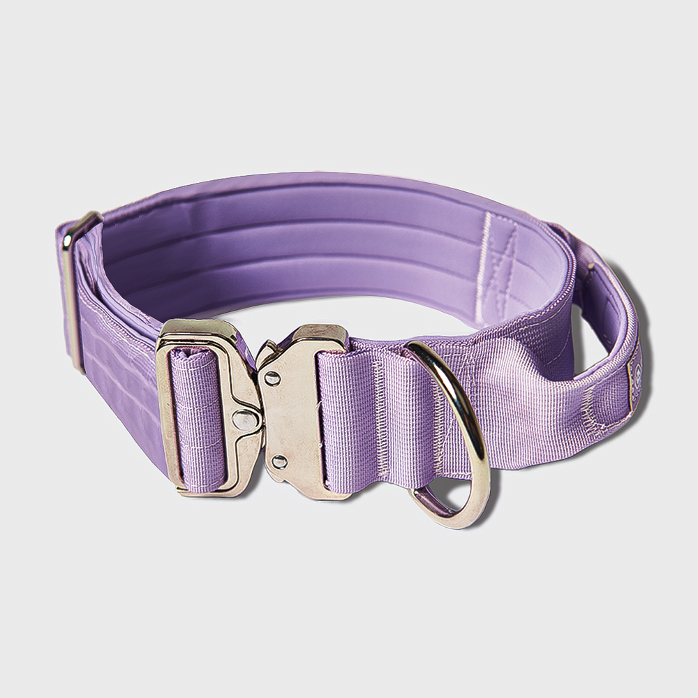 Comfort Control Collar Set - Lilac – SPARK PAWS