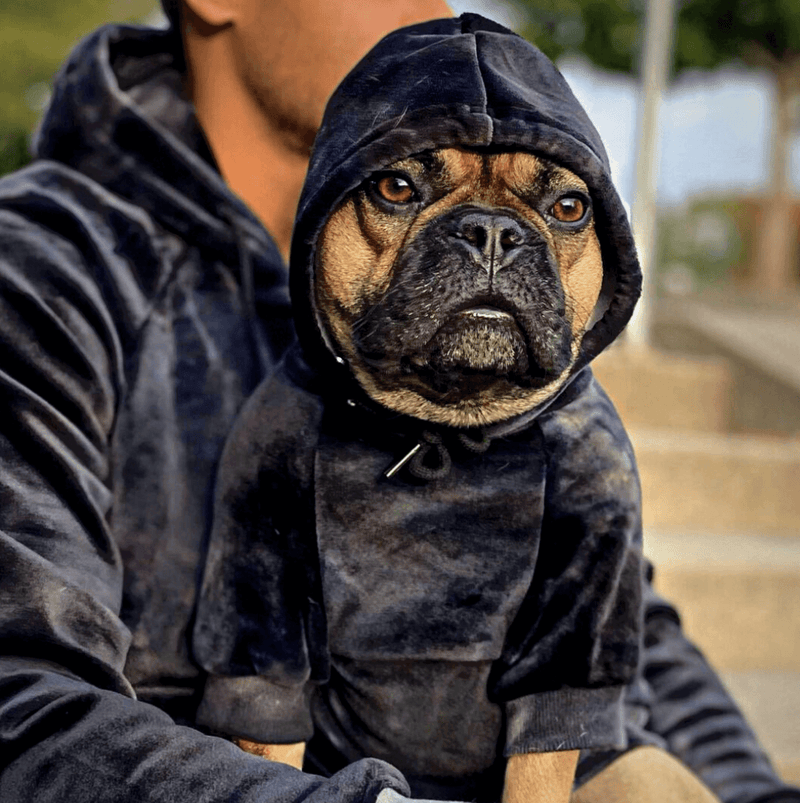 Velvet Dog Hoodie - Obsidian Black