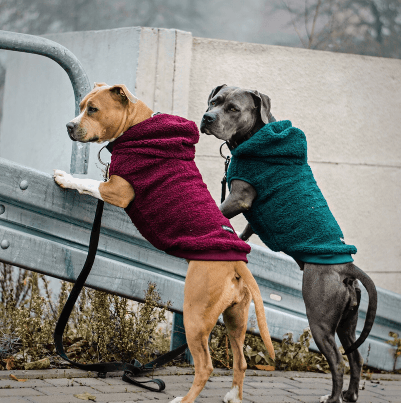 Sherpa sales dog pajamas