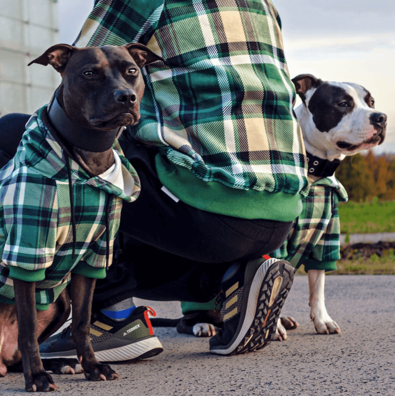 Green plaid dog sweater deals