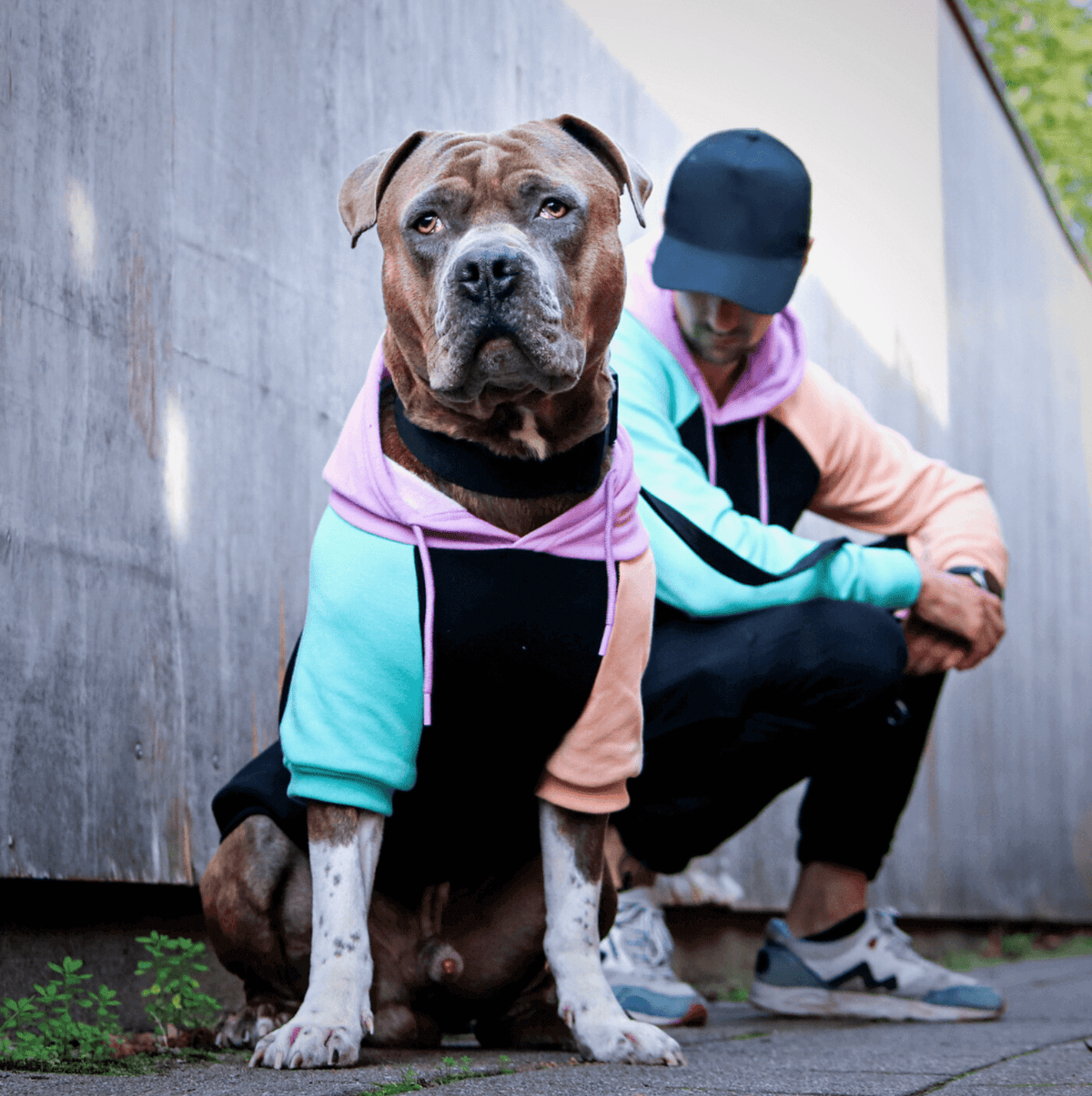 Purple Teal Mango Black Color-block Human Hoodie (Dog Matching