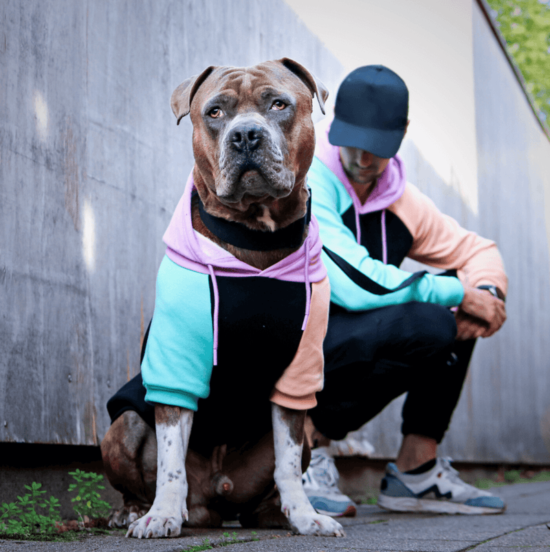 Cyber Punk Dog Hoodie – SPARK PAWS