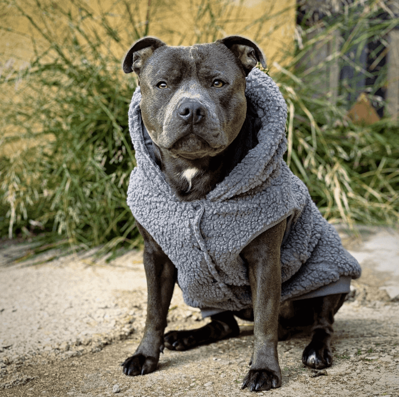 Dog jackets for staffy best sale