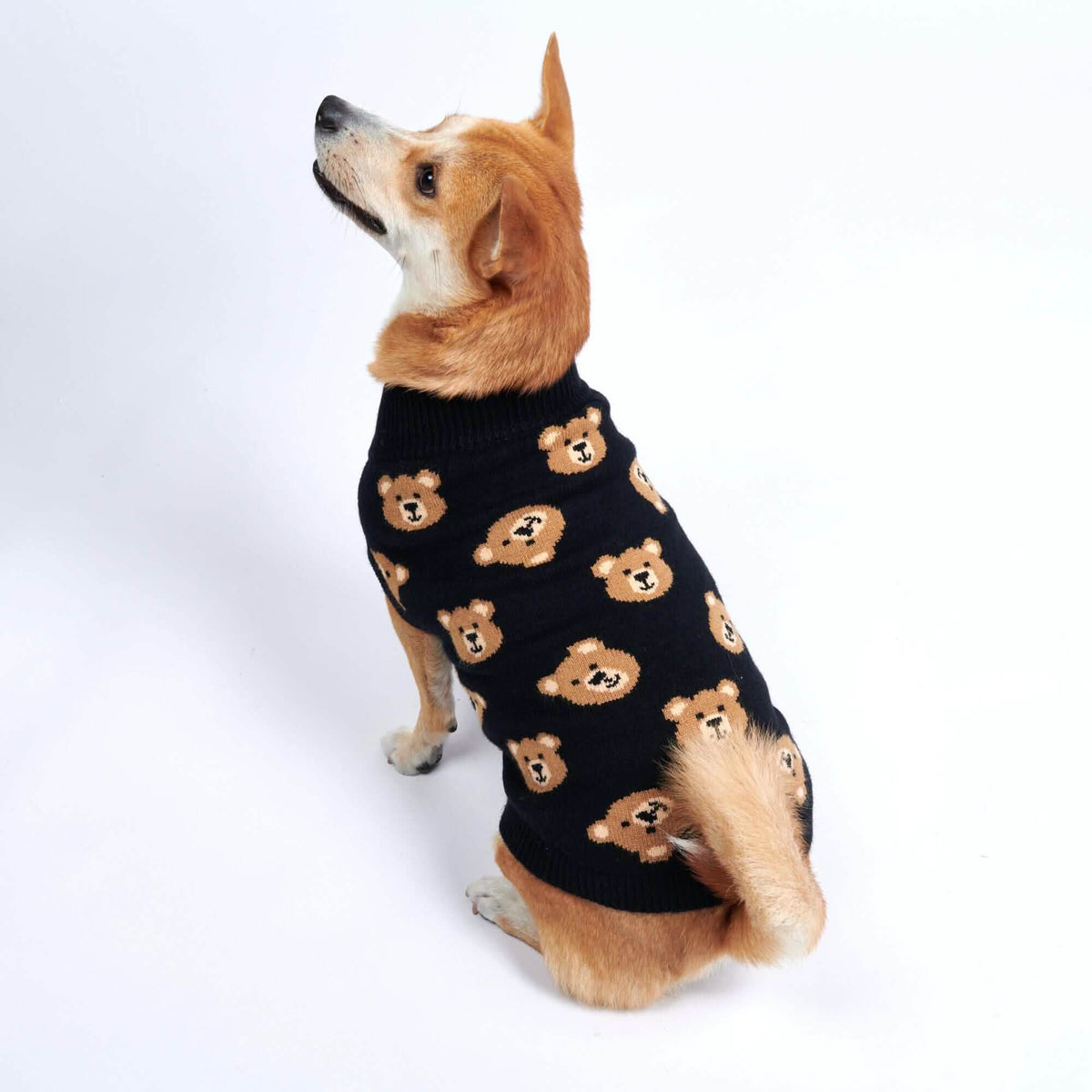 Broken Teddy Bear Knit Dog Sweater - Black – SPARK PAWS
