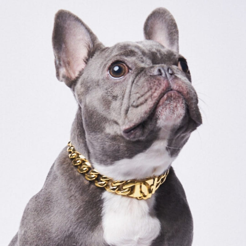 Buy Luxury Dog Collars, Glamorous Dog Collar