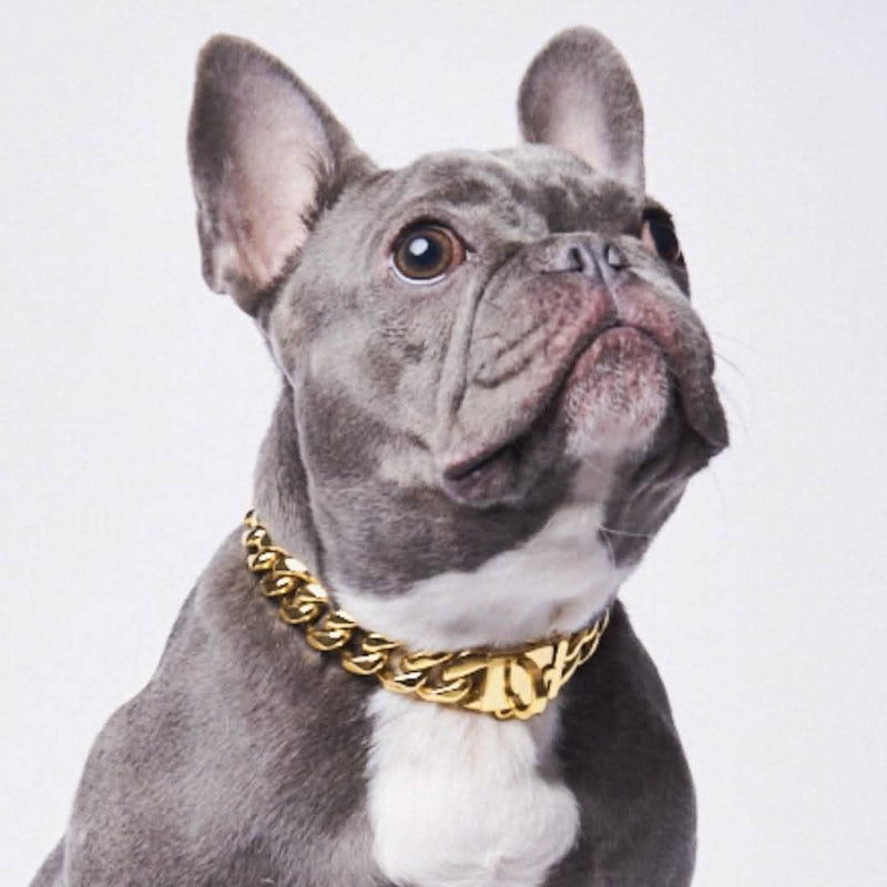 Cuban Link Gold Chain Dog Collar Heavy Duty Dog Chains – SPARK PAWS