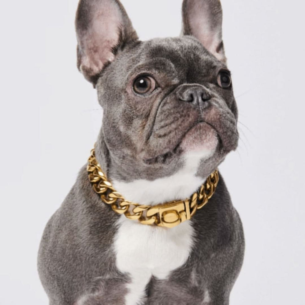 Heavy Duty Stainless Steel Dog Choke Chain – Cuban Link Style – Gold, S/M/L