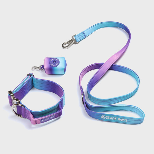Tactical Dog Collar Set - 90s Retro