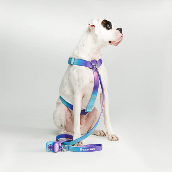 Cotton Dog Harness and Leash Set — CALIDOG