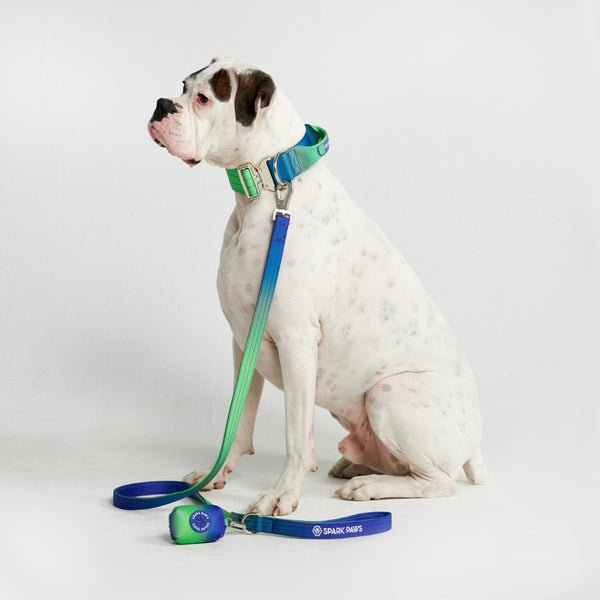 Tactical Dog Collar Set - Lime Wave