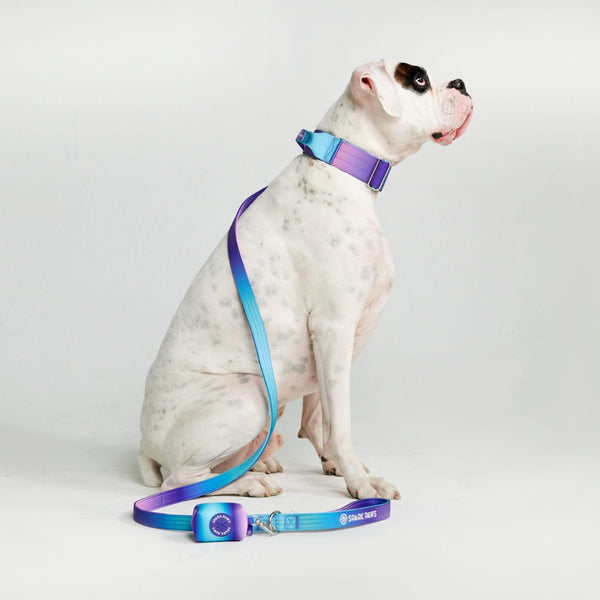 Cotton Dog Harness and Leash Set — CALIDOG