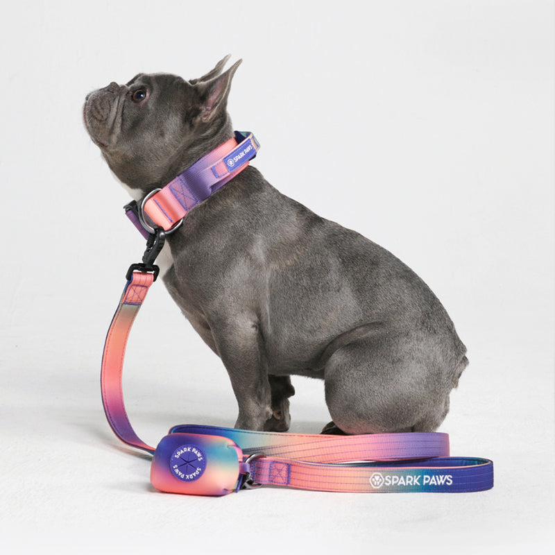 Tactical Dog Collar Set - Kaleidoscope (1.5"/4cm)