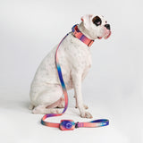 Tactical Dog Collar Set - Kaleidoscope