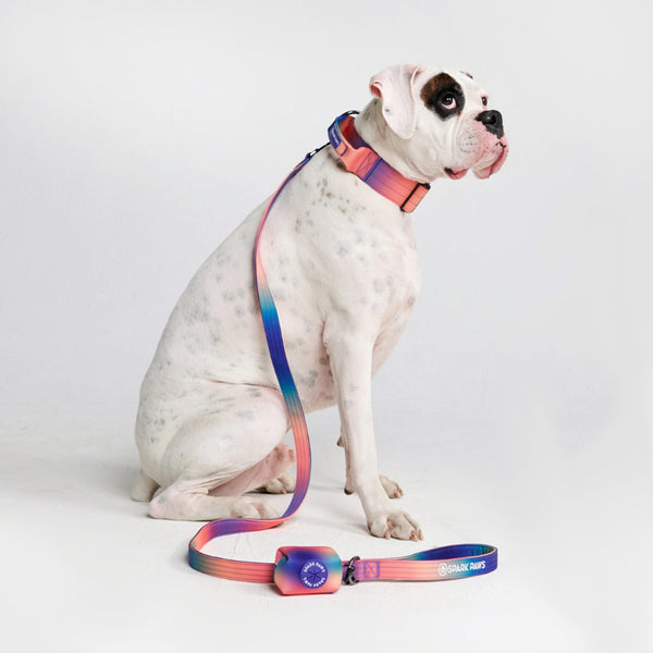 Cotton Dog Harness and Leash Set — CALIDOG