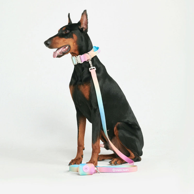 Tactical Dog Collar Set - Pastel Icing (1.5"/4cm)