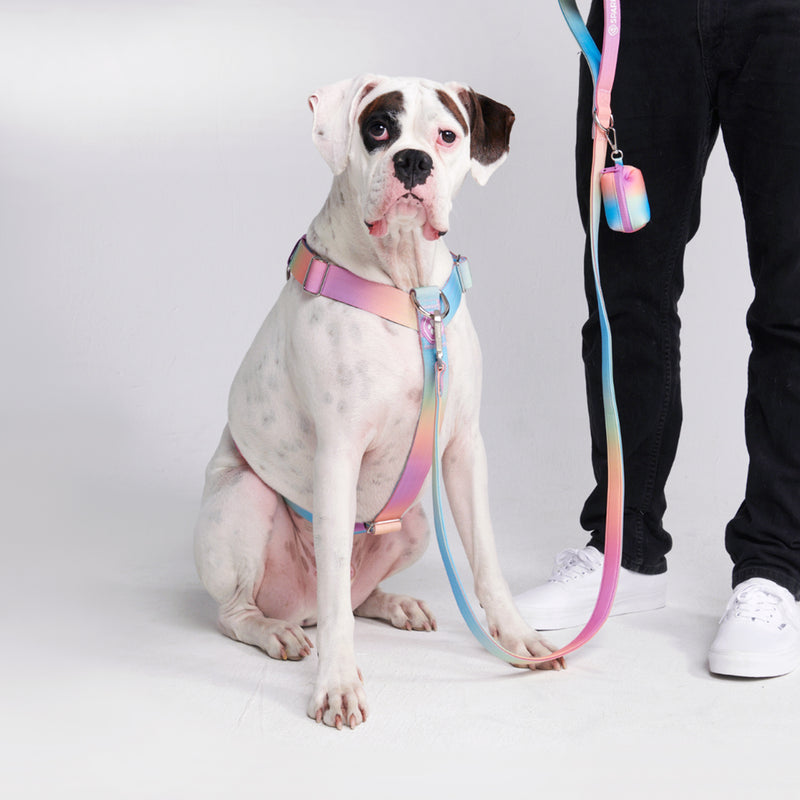 Comfort Control No-Pull Dog Harness - Pastel Icing