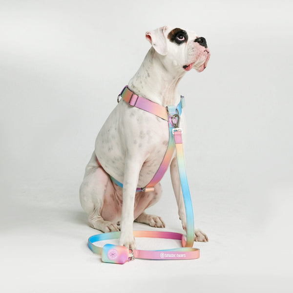 Cotton Dog Harness and Leash Set — CALIDOG