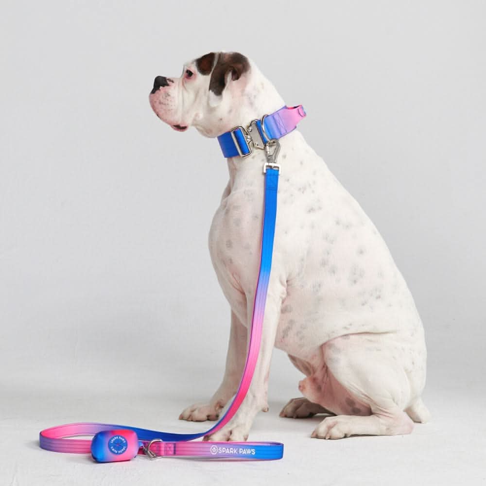 Comfort Control Collar Set
