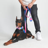 Tactical Dog Collar Set - Snow Cone (1.5"/4cm)