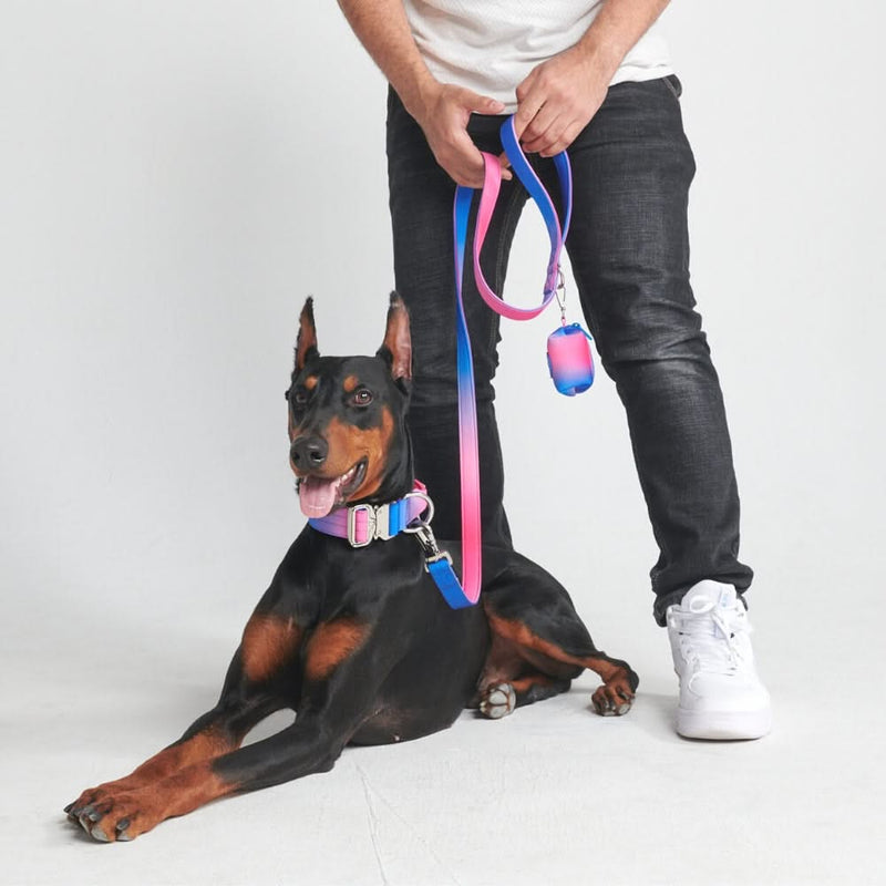 Tactical Dog Collar Set - Snow Cone (1.5"/4cm)