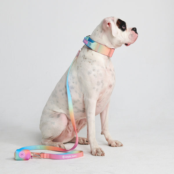 Cotton Dog Harness and Leash Set — CALIDOG