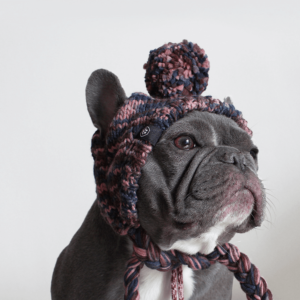 Dog winter hats online