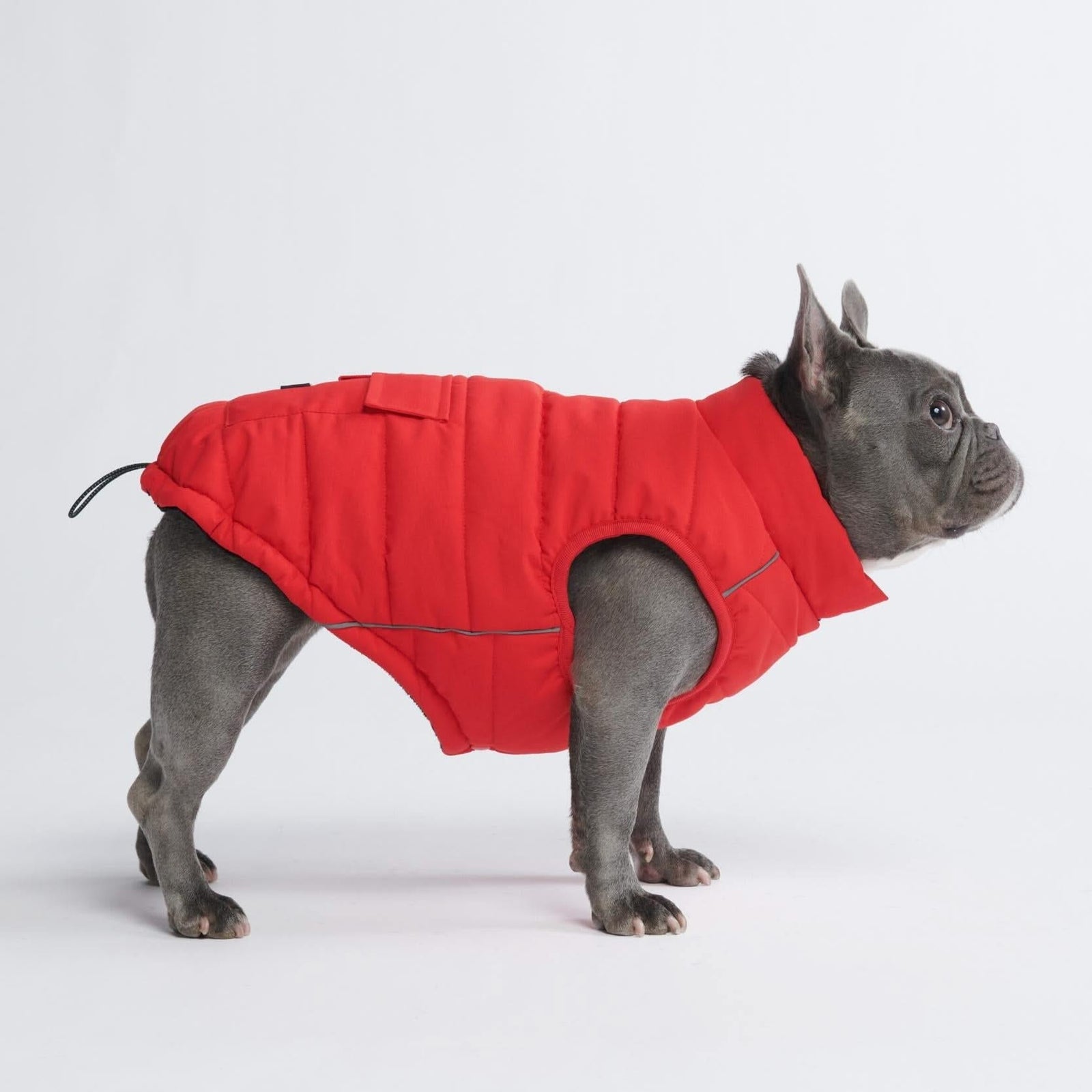 Spark Paws Waterproof Warm Fleece Pockets Winter Dog Jacket