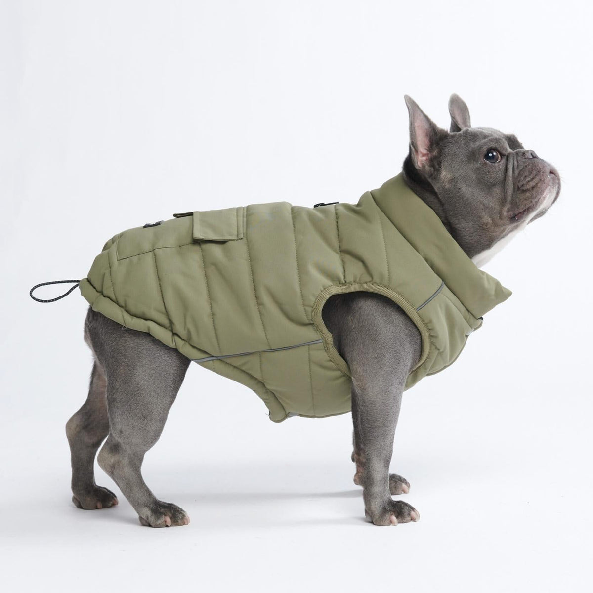 Dog outfits for big dogs clearance