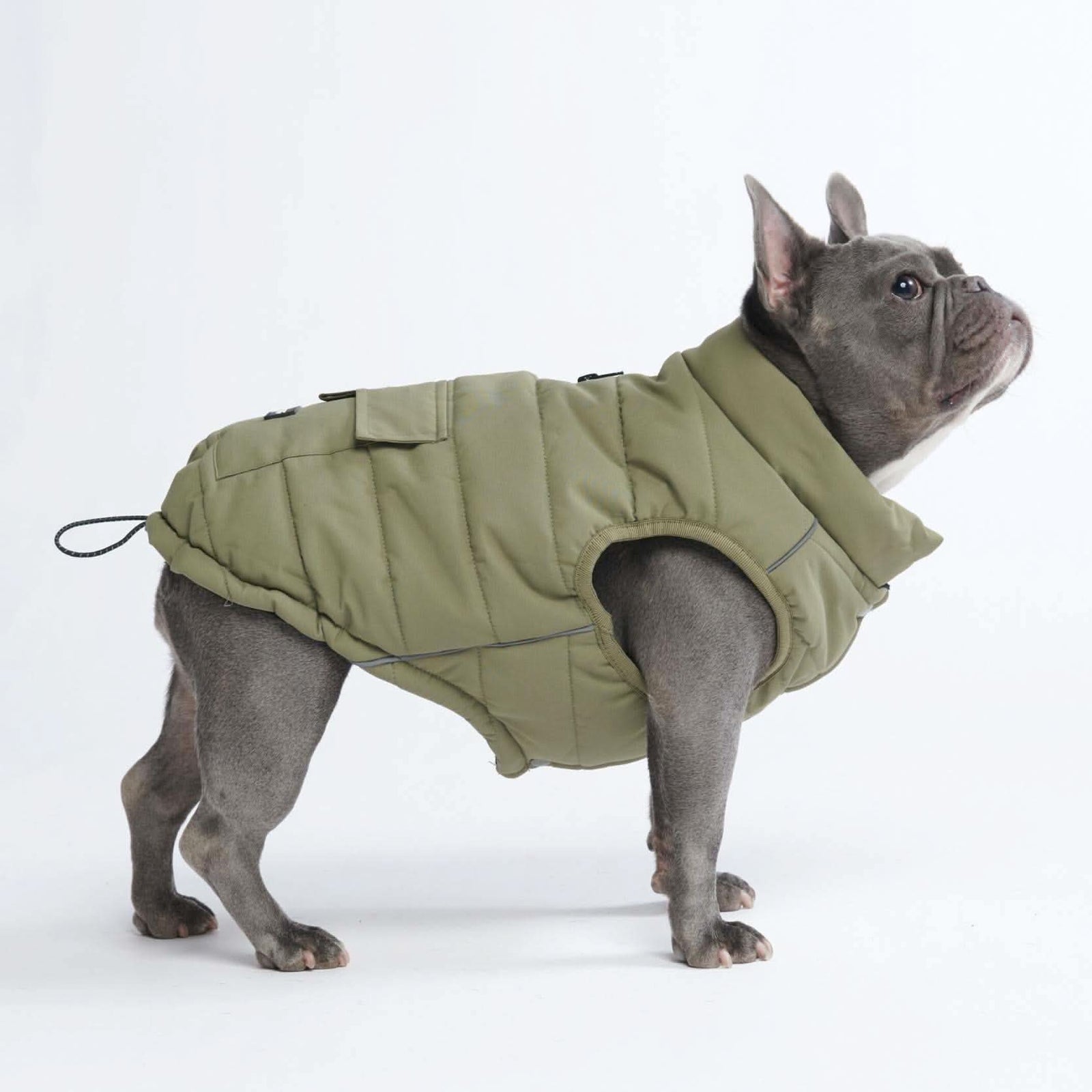 最新コレックション dogwinterjacketcoat_clothesfor ジャケット・アウター