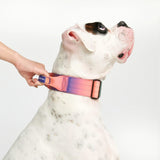 Tactical Dog Collar - Kaleidoscope