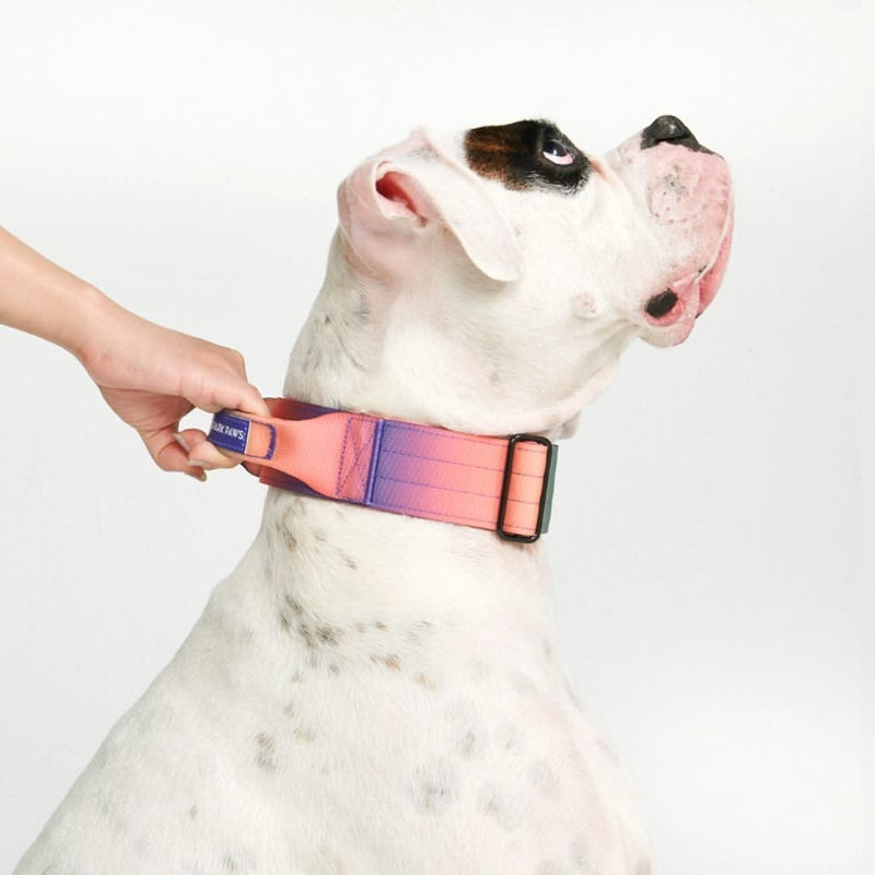 Tactical Dog Collar - Kaleidoscope