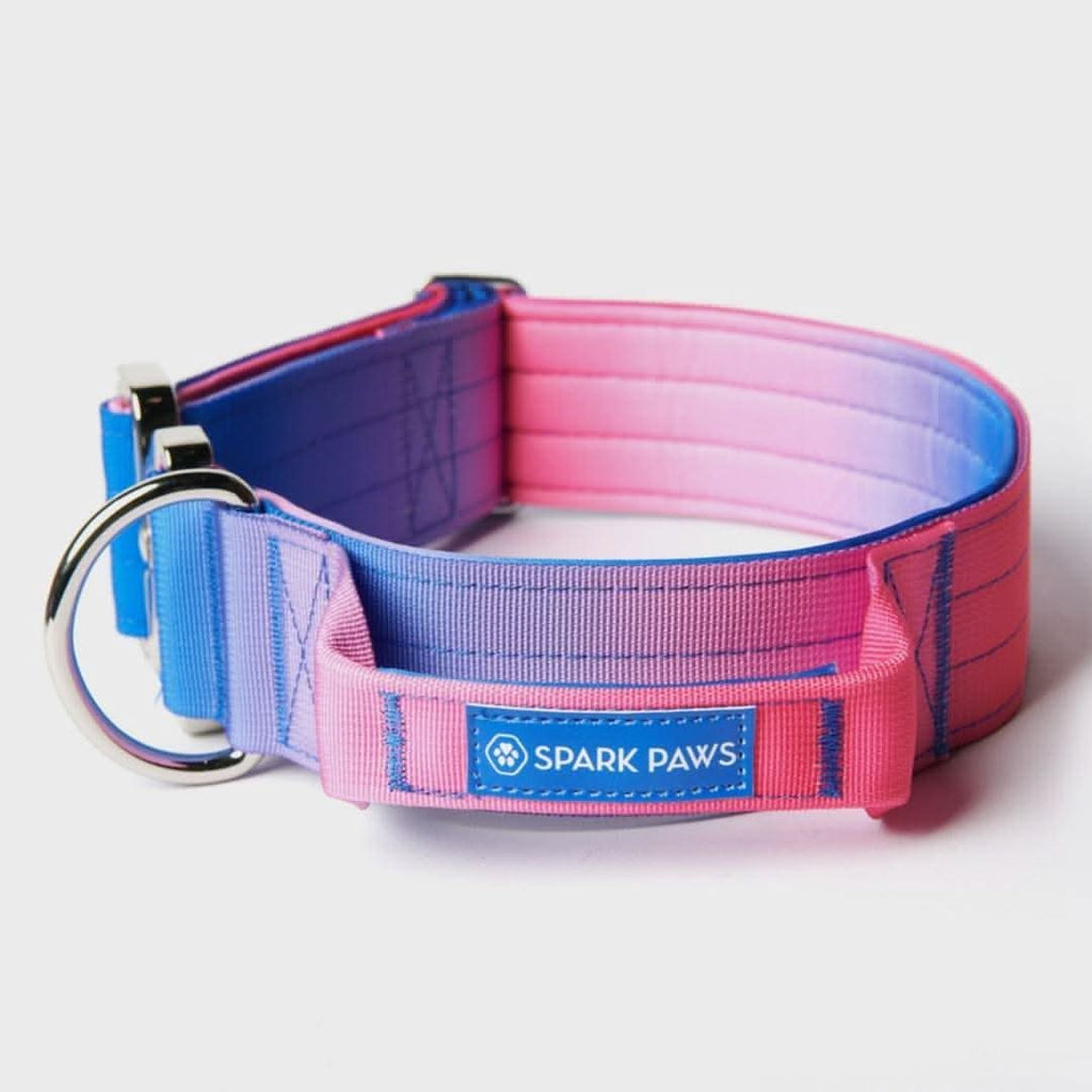 ★TOUT Y EST★ Strain collar block back red sky blue S02095 Comfort Control Collar - Snow Cone – SPARK PAWS