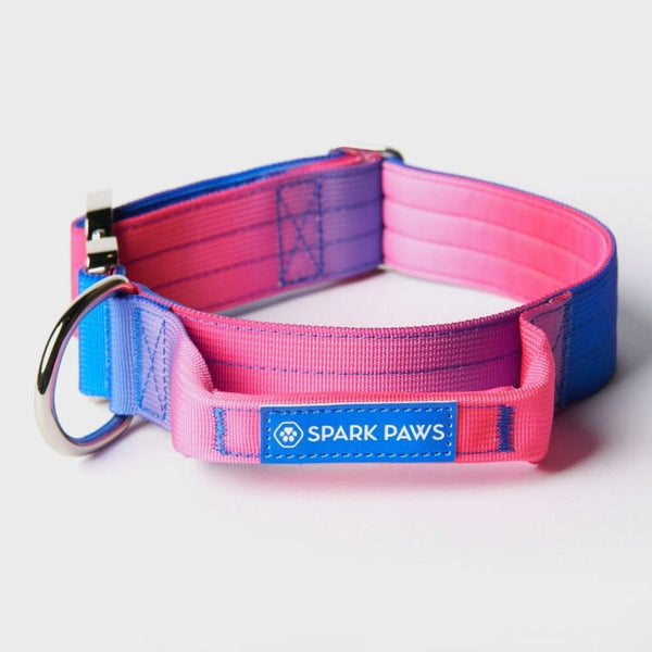 Tactical Dog Collar - Snow Cone (1.5"/4cm)