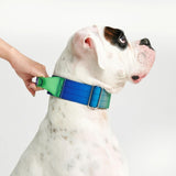 Tactical Dog Collar - Lime Wave