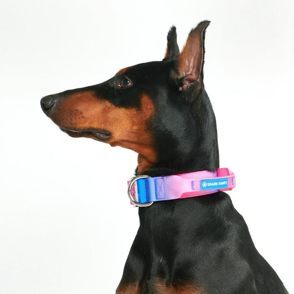 Tactical Dog Collar - Snow Cone (1.5"/4cm)