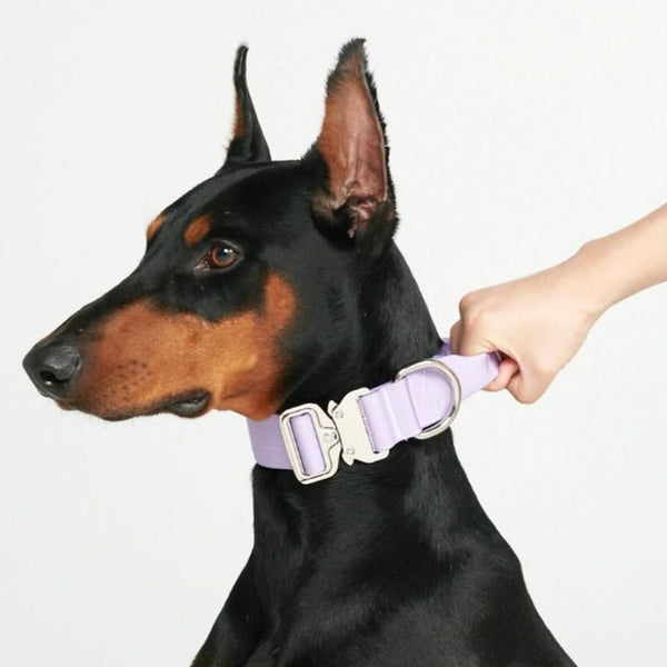 Tactical Dog Collar - Lilac (1.5"/4cm)