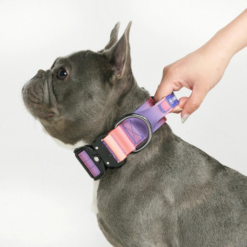 Tactical Dog Collar - Kaleidoscope (1.5"/4cm)