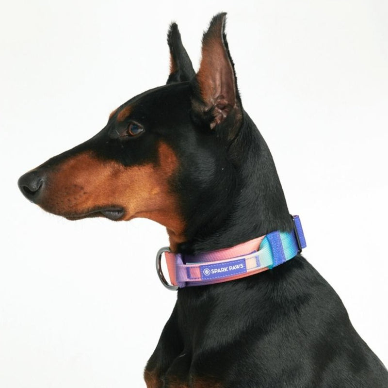 Tactical Dog Collar - Kaleidoscope (1.5"/4cm)