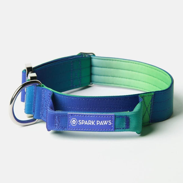 Tactical Dog Collar - Lime Waves (1.5"/4cm)
