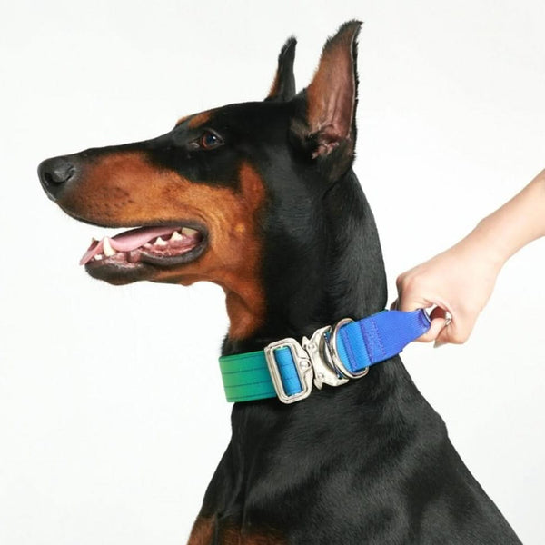 Tactical Dog Collar - Lime Waves (1.5"/4cm)