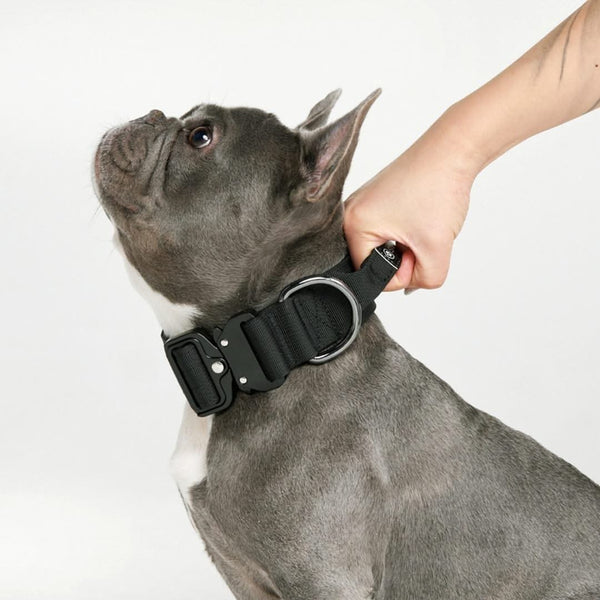 Tactical Dog Collar - Black (1.5"/4cm)