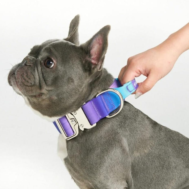 Tactical Dog Collar Set - Lilac (2/5cm) – SPARK PAWS