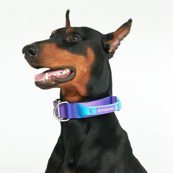 Tactical Dog Collar - 90s Retro (1.5"/4cm)
