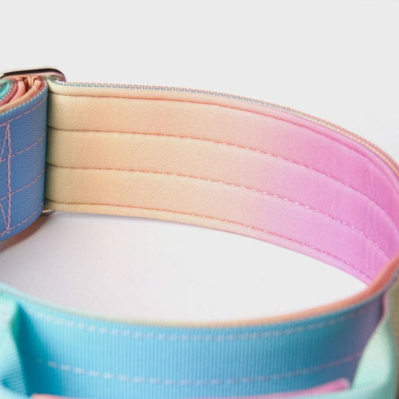 Tactical Dog Collar - Pastel Icing