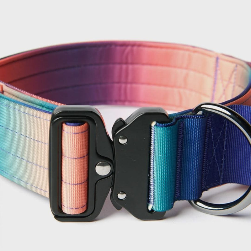 Tactical Dog Collar - Kaleidoscope