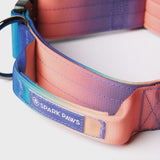 Tactical Dog Collar - Kaleidoscope